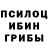 Псилоцибиновые грибы прущие грибы Olga _