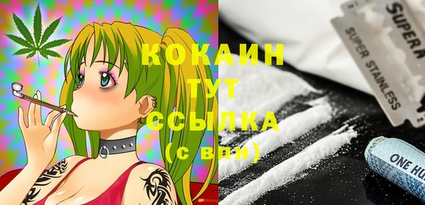 крисы Аркадак