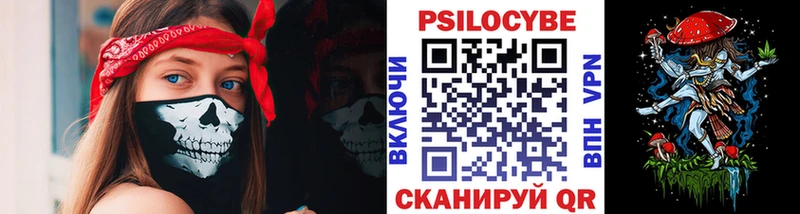 Псилоцибиновые грибы Cubensis  Артёмовский 